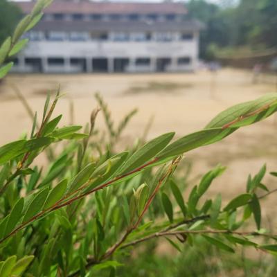 Whatsapp Image 2022 09 20 At 115343 Am 1